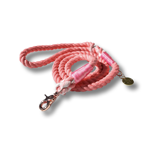 Neon Pink Rope Leash